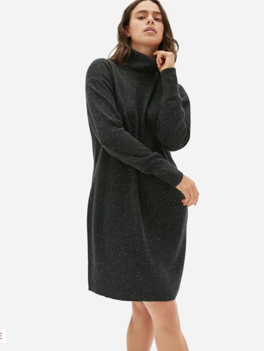 Everlane THE CASHMERE TURTLENECK
DRESS Dark Grey Donega speckled white